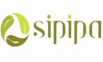 Sipipa