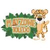 Playzone Toledo