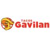 Tacos Gavilan-Santa Ana