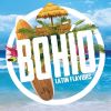 Bohio Latin Flavors